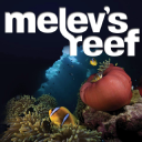 Melevsreef.com logo