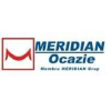 Meridianocazie.ro logo