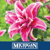 Michiganbulb.com logo