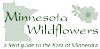 Minnesotawildflowers.info logo