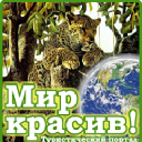 Mirkrasiv.ru logo