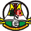 Mlscn.gov.ng logo