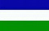 Molossia.org logo