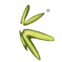 Moneysq.com logo