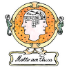 Mottoamfluss.at logo