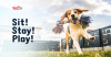 Mydogsdayinn.net logo