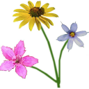 Mywildflowers.com logo