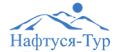 Naftusia.ru logo