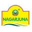 Nagarjunaayurveda.com logo