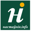 Nastaunik.info logo