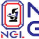 Nationalgemlab.in logo