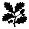 Nationaltrustjobs.org.uk logo