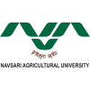 Nau.in logo