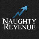 Naughtyrevenue.com logo