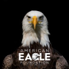 Nefleaglecam.org logo