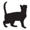 Nekogazou.com logo