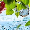 Nemagia.ru logo