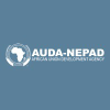 Nepad.org logo