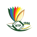 Nepaltourism.net logo