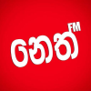 Nethnews.lk logo