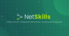 Netskills.ru logo