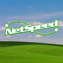 Netspeed.net.nz logo