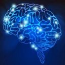 Neurologul.com logo