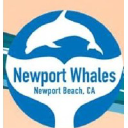 Newportwhales.com logo