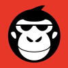 Newsmonkey.be logo