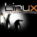 Nexolinux.com logo