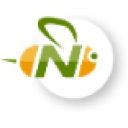 Nextbee.com logo