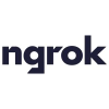 Ngrok.com logo