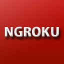 Ngroku.com logo