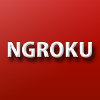 Ngroku.com logo