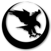 Nighthawkcustom.com logo