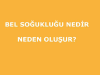 Nnedir.com logo