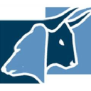 Npinvestor.dk logo
