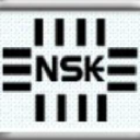 Nskelectronics.com logo
