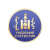 Nso.mn logo