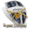 Nvpn.net logo