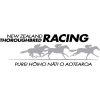 Nzracing.co.nz logo