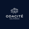 Odacite.com logo