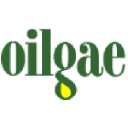 Oilgae.com logo