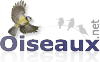 Oiseaux.net logo