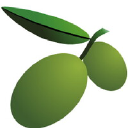 Olivetomato.com logo
