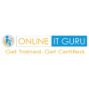 Onlineitguru.com logo