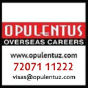 Opulentian.com logo