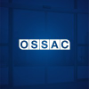 Ossacseguridad.com logo