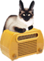 Otrcat.com logo