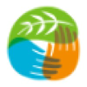 Pachamama.org logo